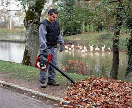 Pentru a grădină a fost bine îngrijit alege un aspirator de grădină