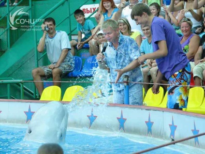 Sochi delfinarium vízterületének