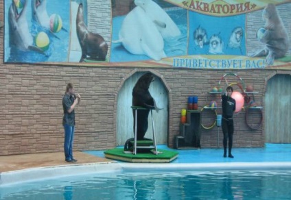 Sochi delfinarium vízterületének