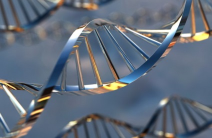 Testarea DNA pentru pisici, obiective, care permite identificarea, video