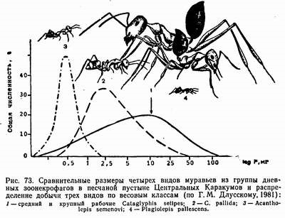 Ecologică