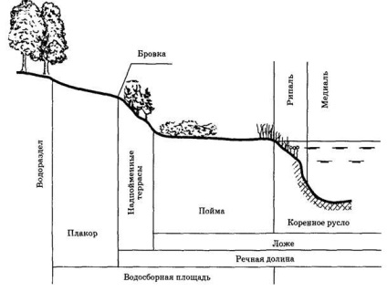 Zonarea ecologică a sistemelor fluviale - stadopedie
