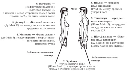 Erotikus masszázs partner jade szár erotikus masszázs partner jade kapuk -