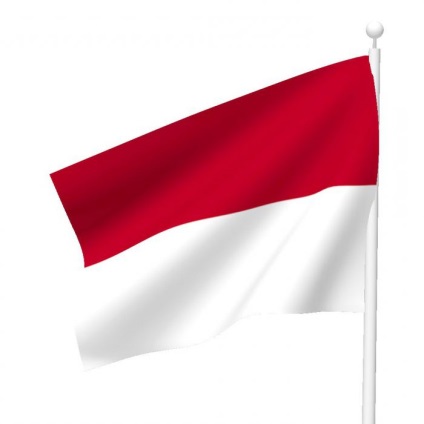 Steagul roșu-alb