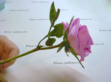 Foamiran mesterosztály a rózsa koszorú létrehozásáról