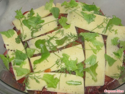 Carne de vită cu roșii și brânză - gătiți într-un cazan dublu - țara-mamă