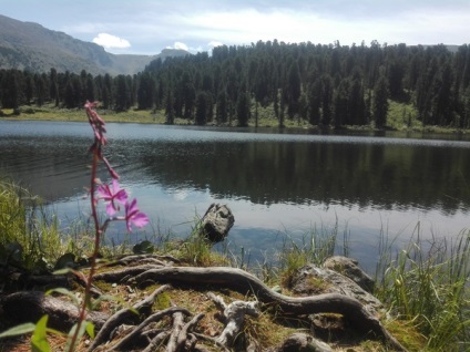 Povestea despre cum am mers la Altai cu o ușă ruptă, dar am ajuns la zăpadă și la ochelari