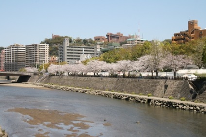 Kagoshima, pe marginea ținutului japonez