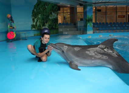 Hogyan tanították a delfint kazah - hírek, lakókocsi