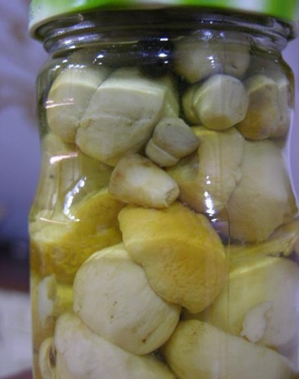 Cum să gătești ciuperci albe feluri de mâncare albă, rețete, fotografii