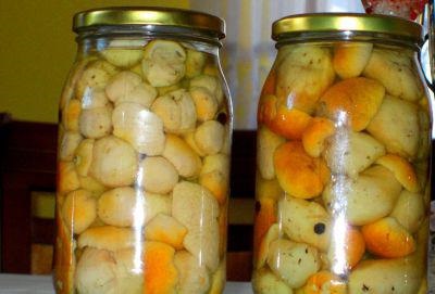 Cum să gătești ciuperci albe feluri de mâncare albă, rețete, fotografii