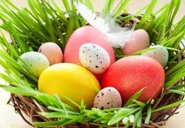 Hogyan csírázzuk a búzát a húsvét számára