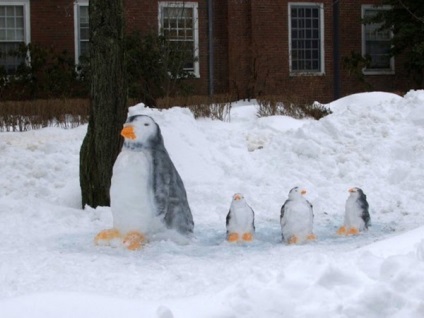 Cum să faci idei de pinguin de zăpadă fotografie