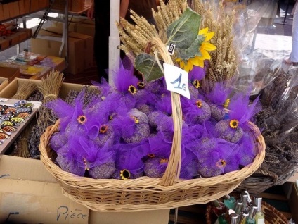 Cum se recoltează lavanda