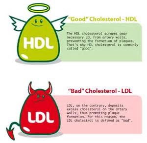 Както повишите HDL въпроси и отговори