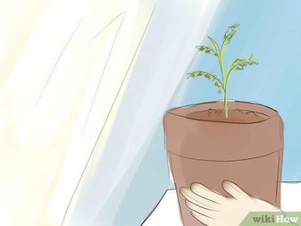 Как да защитите градината от летните горещини и суша