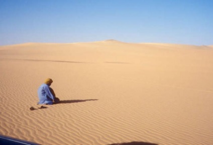 Cum să trăiești în deșert și să nu mori de sete