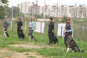 Centrul de formare a câinilor Grand, câini de formare în Sankt Petersburg