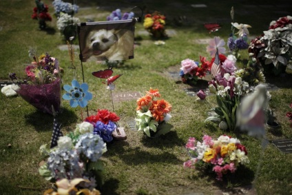 A háziállatok temetője érdemes embereket emberi módon eltemetni?