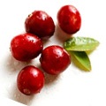 Cranberries pentru piele