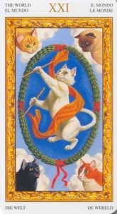 Tarot al pisicilor albe, povestiri