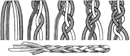 Malacok és flagella