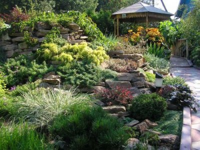 Designul peisagistic al grădinii și al amplasamentului