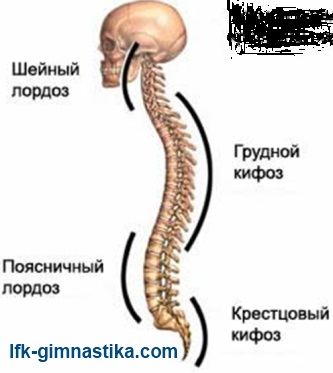 Lordosis - okok, diagnózis, kezelés, LUTS