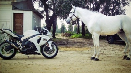 Gelul calului - în căptușeala în locurile motocicletei da!