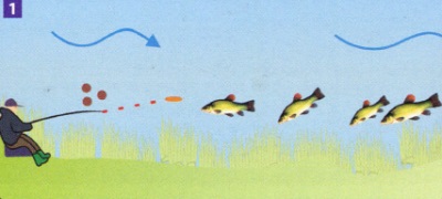 Pescuitul în râu are legătură cu capturarea peștilor
