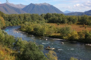 Somon de pescuit în Kamchatka