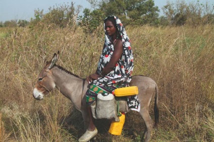 Lumea cabanei - ceea ce este Africa