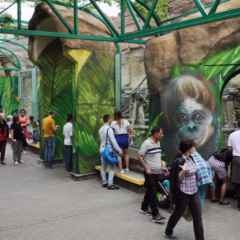 Moscova, știri, grădina zoologică din Moscova va face plimbări libere cu regizorul