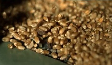 Acid formic pentru prelucrarea albinelor - cumpara in Ucraina