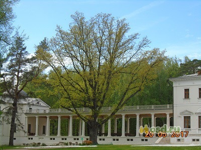 Ostafievo Múzeum-Nyaraló - Orosz Parnassus - minden értékelés - gyerekes vakáció