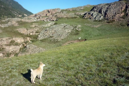 Cu mașina spre Altai (9-14 august 2011)