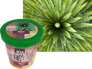 Kituri pentru cultivare, un set pentru creșterea căpșunului de ananas cumpărați în magazin online cu