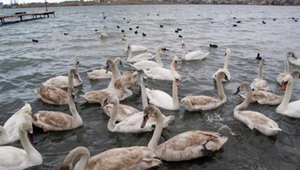 Crimean National Park nume, descriere, fotografie