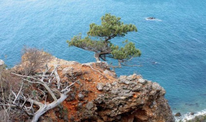 Crimean National Park nume, descriere, fotografie