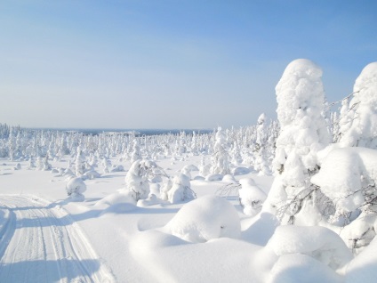 Parcul Național Paanajärvi cum să ajungeți acolo și ce să vedeți, suburbiile din Petersburg
