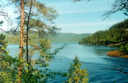 Parcul Național Paanajarvi, descrierea din Karelia, obiective turistice și informații interesante