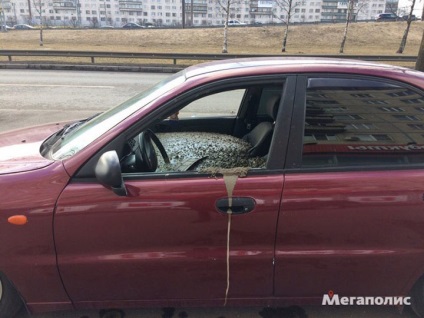 Un soț furios a inundat mașina soției sale cu beton