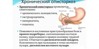 Opisthorchiasis tünetei a betegség, a diagnózis és a kezelés