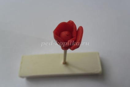 Panou din plasticină pentru mâinile proprii pentru trandafiri din grădiniță