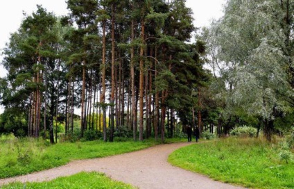 Parcul alexandrino - una dintre cele mai vechi zone verzi din St. Petersburg