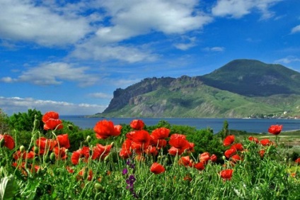 Parcuri și rezervații din Crimeea, natura