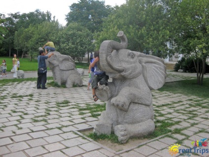 Beijing Zoo - excursii minunate