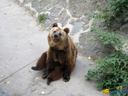 Beijing Zoo - excursii minunate