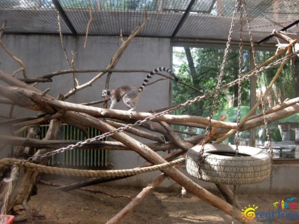 Beijing Zoo - excursii minunate
