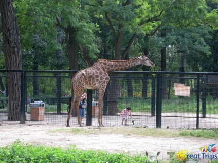 Beijing Zoo - excursii minunate